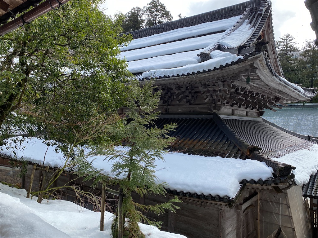 f:id:reiapapa:20230108175840j:image