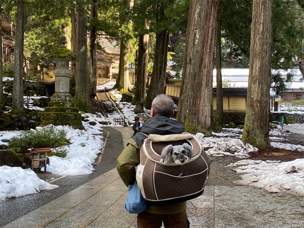 f:id:reiapapa:20230108175901j:image