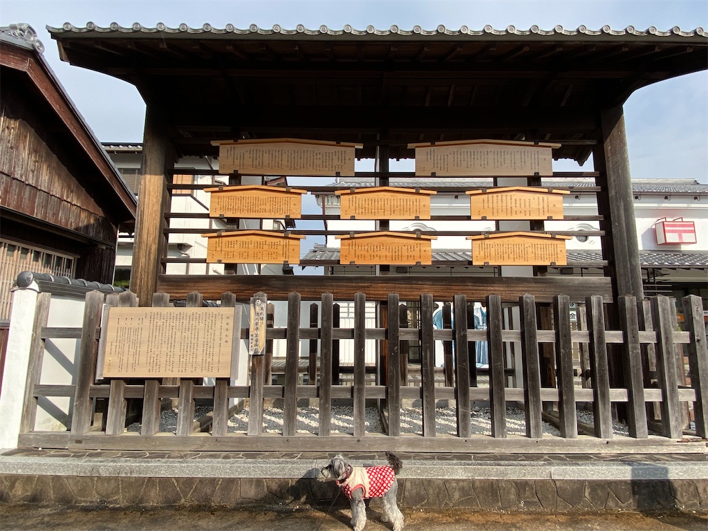 f:id:reiapapa:20230112200019j:image