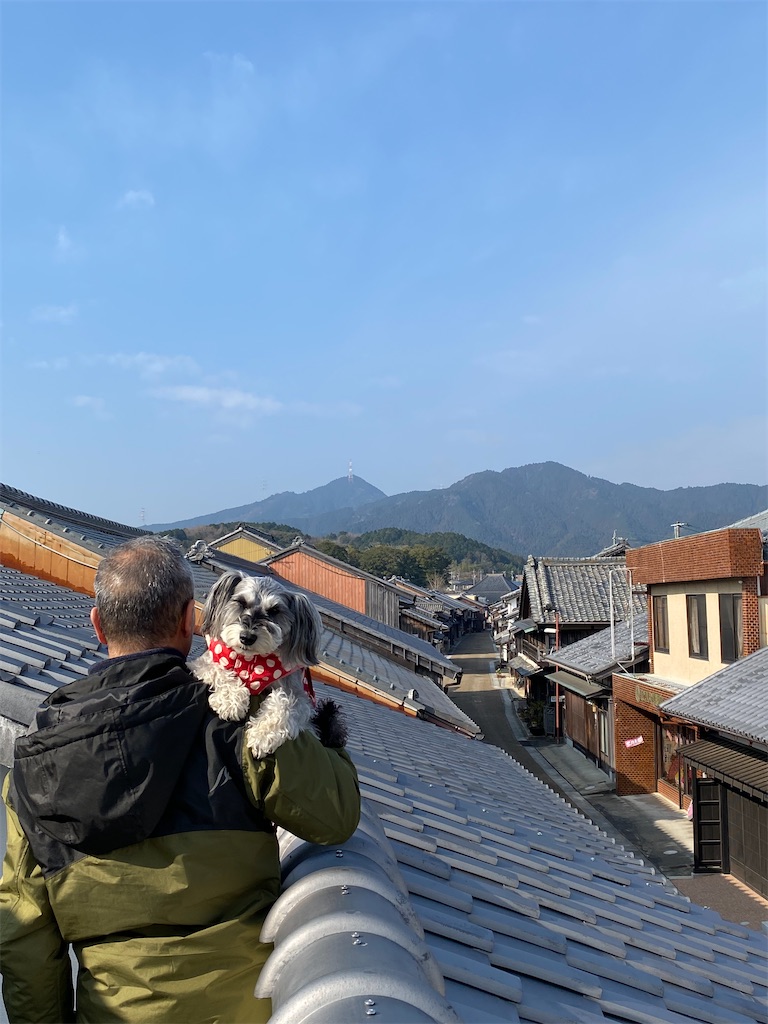 f:id:reiapapa:20230112200032j:image