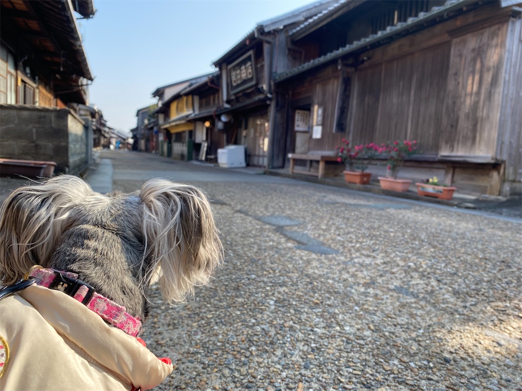 f:id:reiapapa:20230112200038j:image