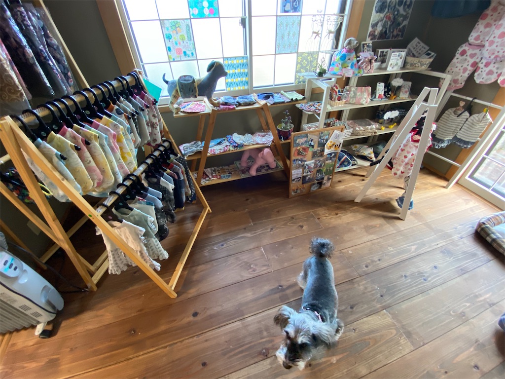 f:id:reiapapa:20230306160906j:image