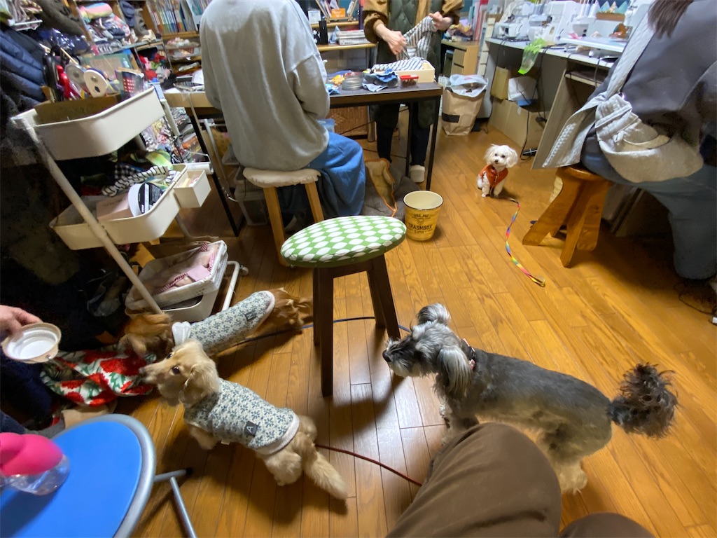 f:id:reiapapa:20230306160921j:image