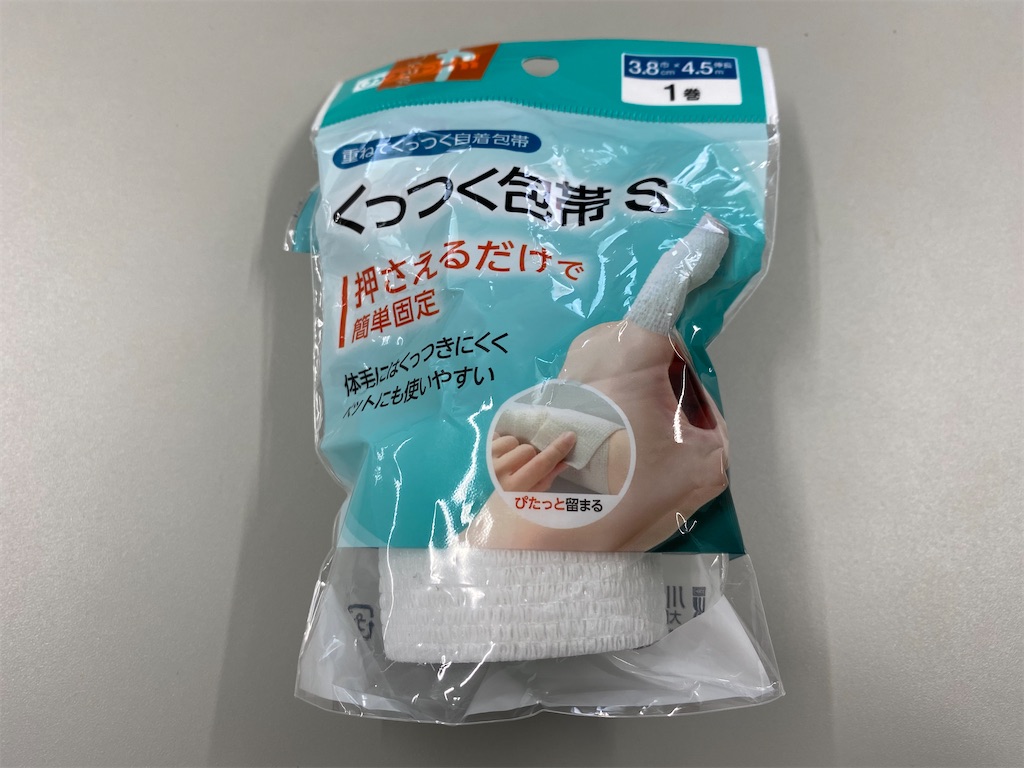 f:id:reiapapa:20230308123600j:image