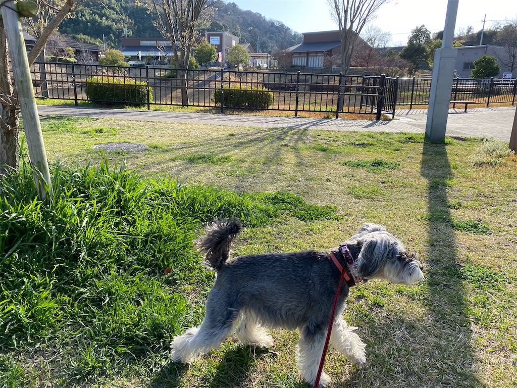 f:id:reiapapa:20230320134710j:image