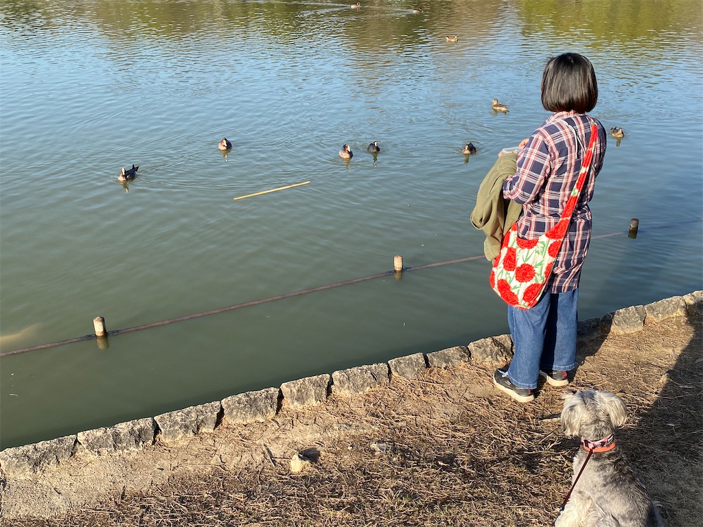 f:id:reiapapa:20230320135243j:image