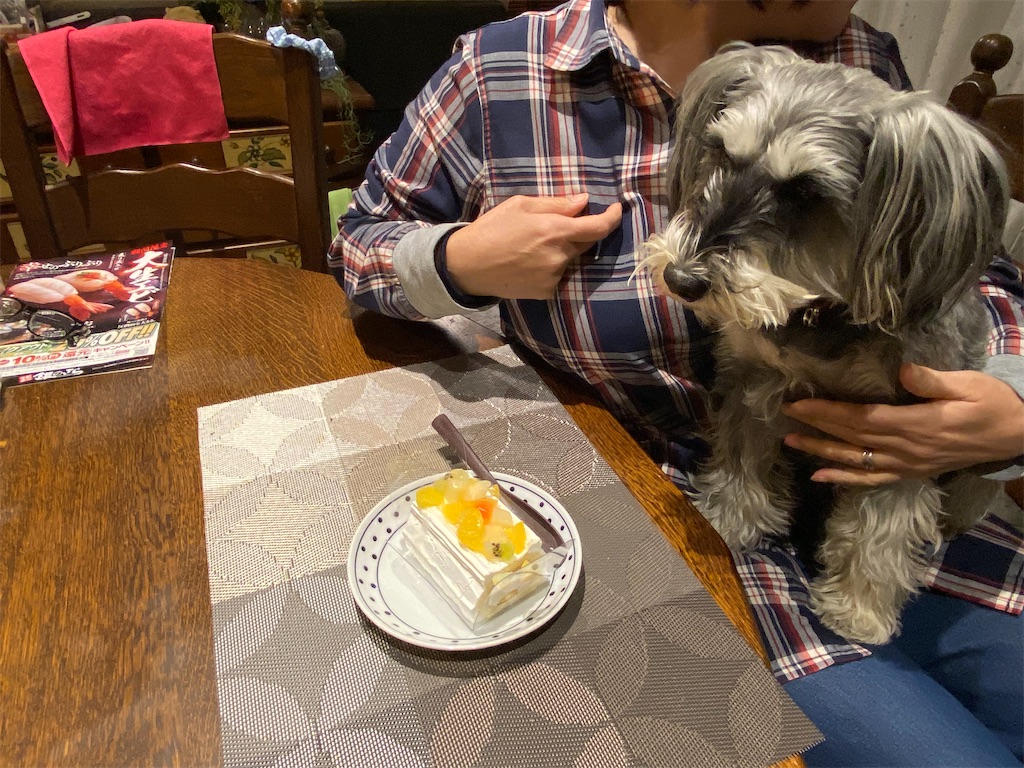 f:id:reiapapa:20230320135621j:image