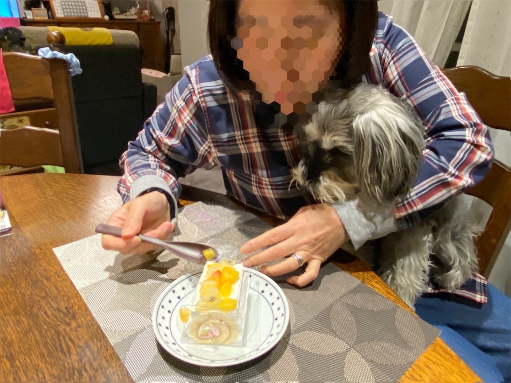 f:id:reiapapa:20230320140215j:image