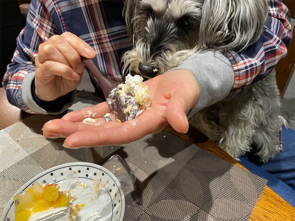 f:id:reiapapa:20230320140431j:image