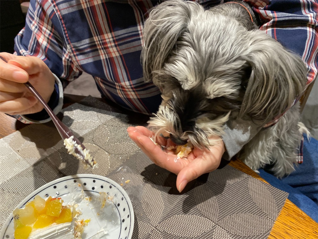 f:id:reiapapa:20230320140556j:image