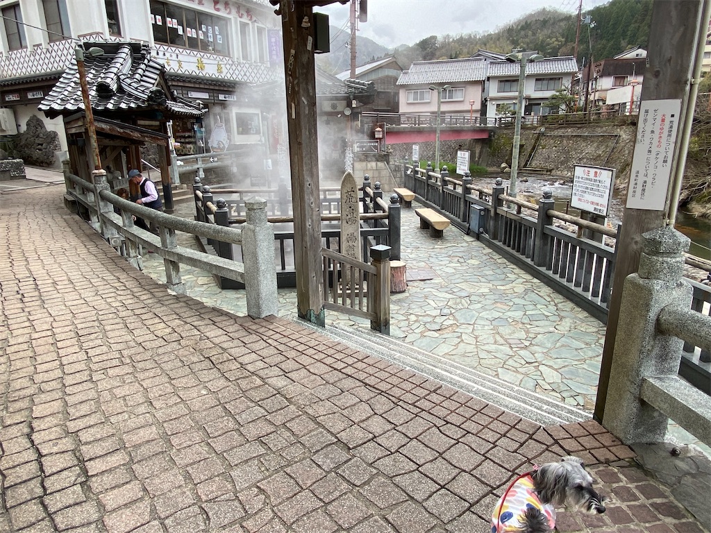 f:id:reiapapa:20230331180029j:image f:id:reiapapa:20230331180029j:image