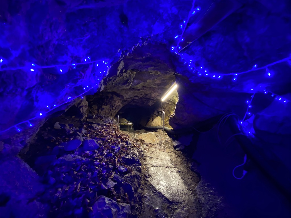 f:id:reiapapa:20230517210552j:image