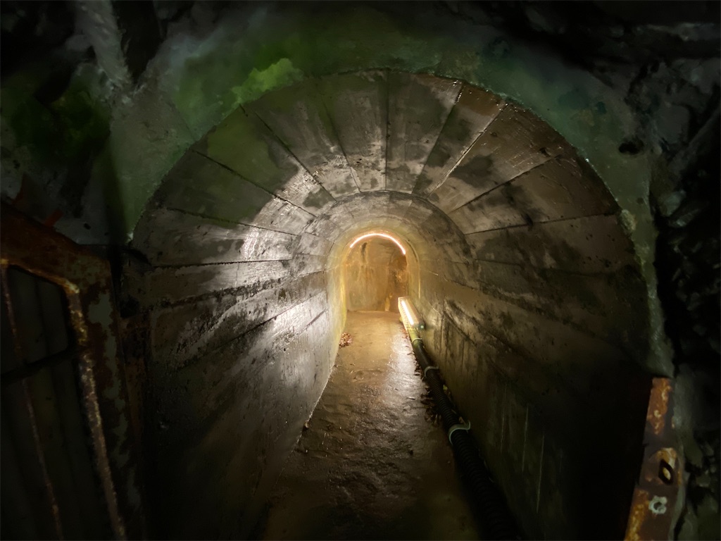 f:id:reiapapa:20230517210604j:image