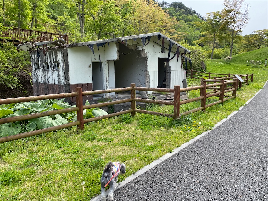 f:id:reiapapa:20230518211706j:image