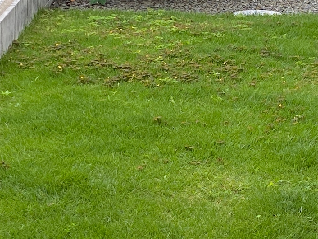 f:id:reiapapa:20230610214655j:image