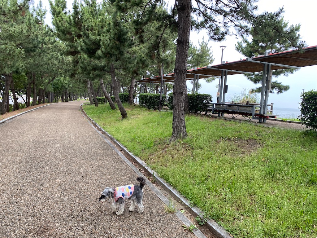 f:id:reiapapa:20230611065856j:image