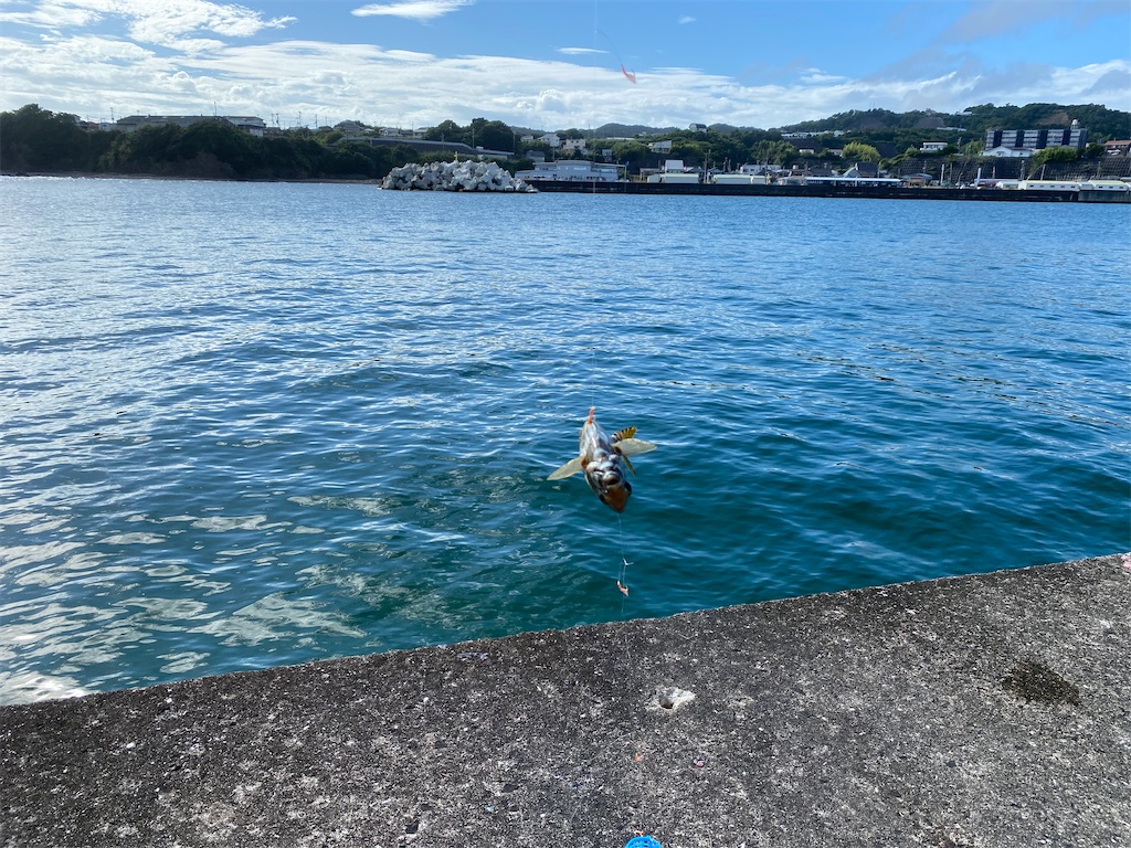 f:id:reiapapa:20230715214247j:image