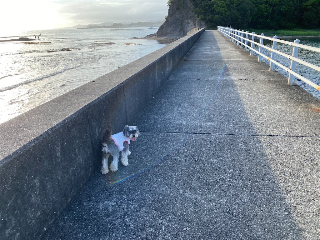 f:id:reiapapa:20230715214516j:image