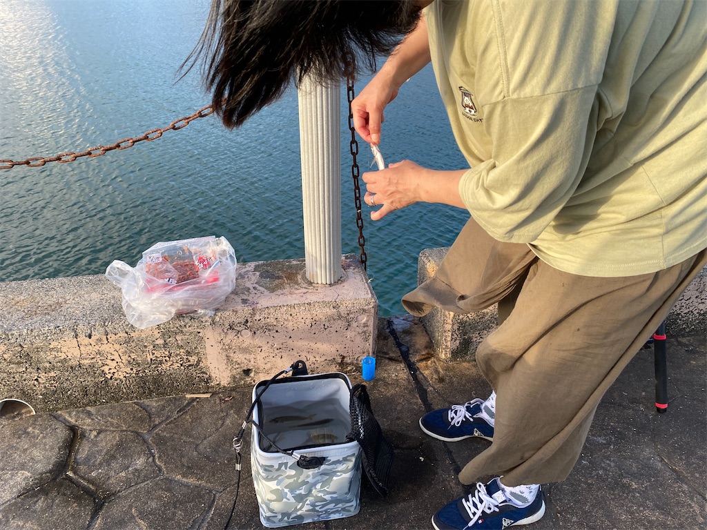 f:id:reiapapa:20230715214731j:image