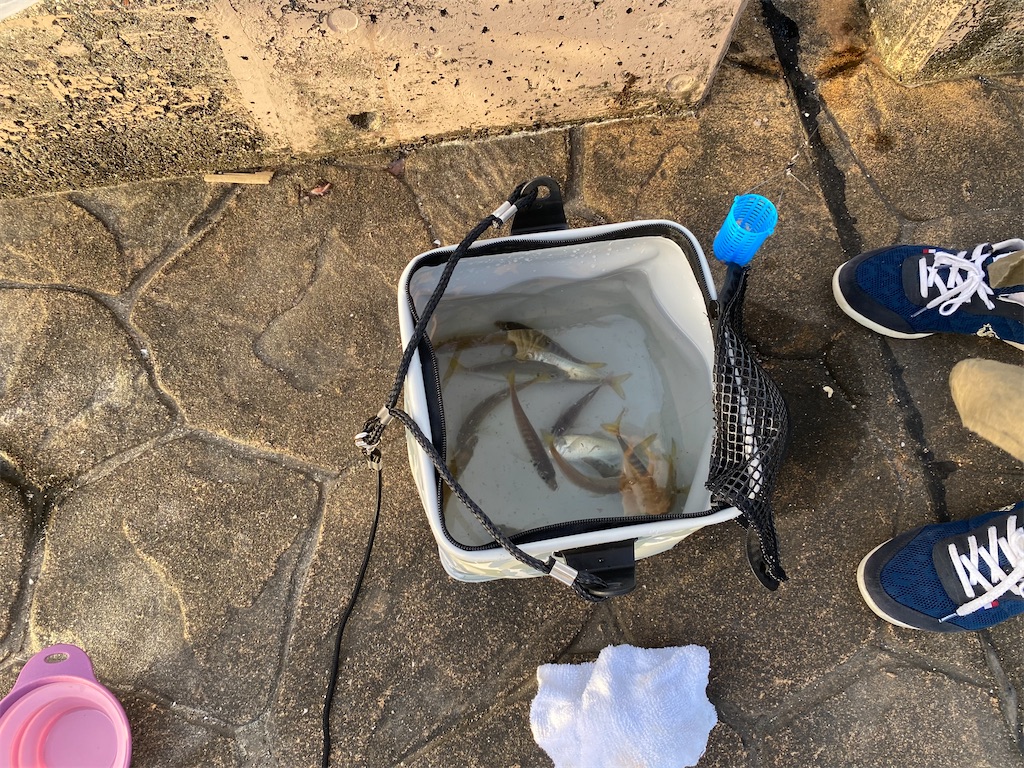 f:id:reiapapa:20230715214921j:image