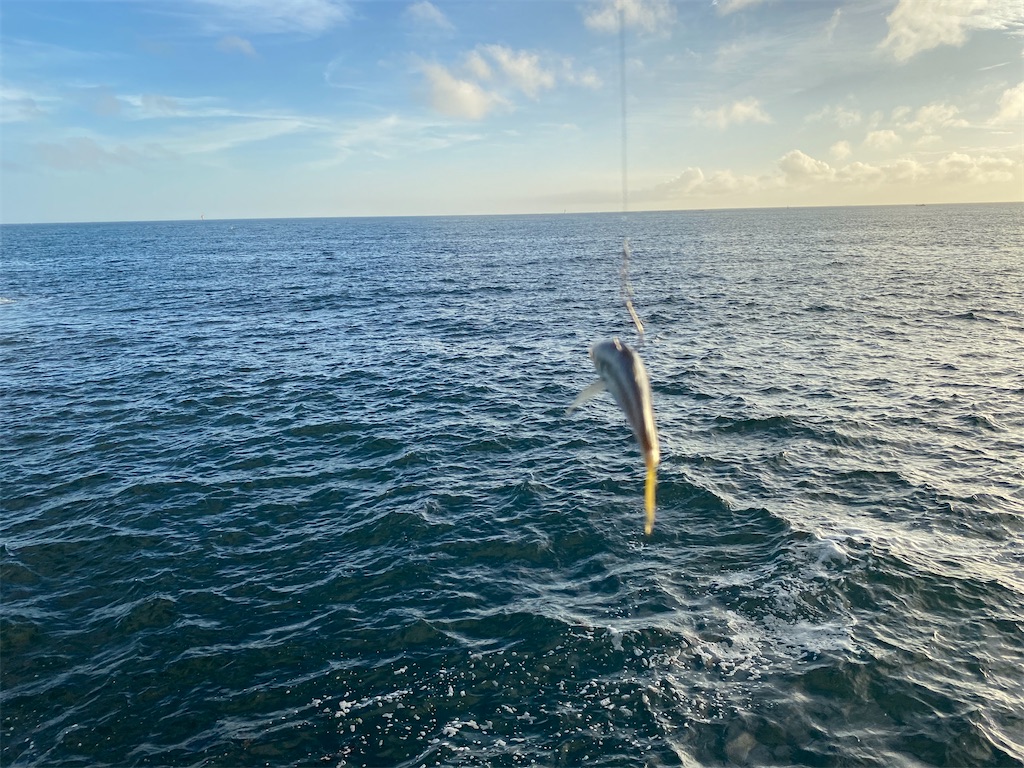 f:id:reiapapa:20230715215145j:image