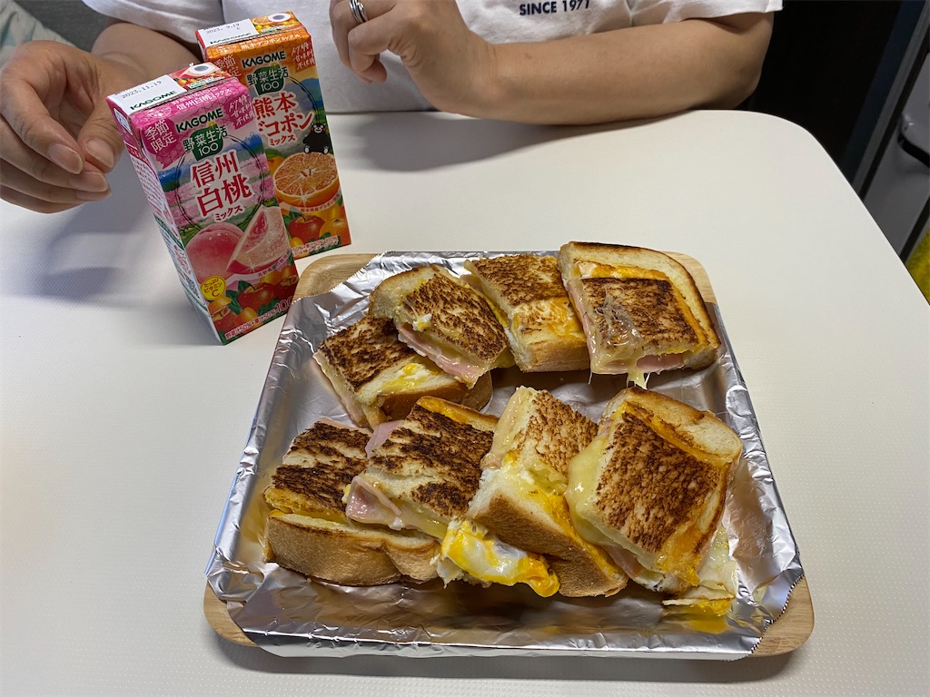 f:id:reiapapa:20230716224853j:image