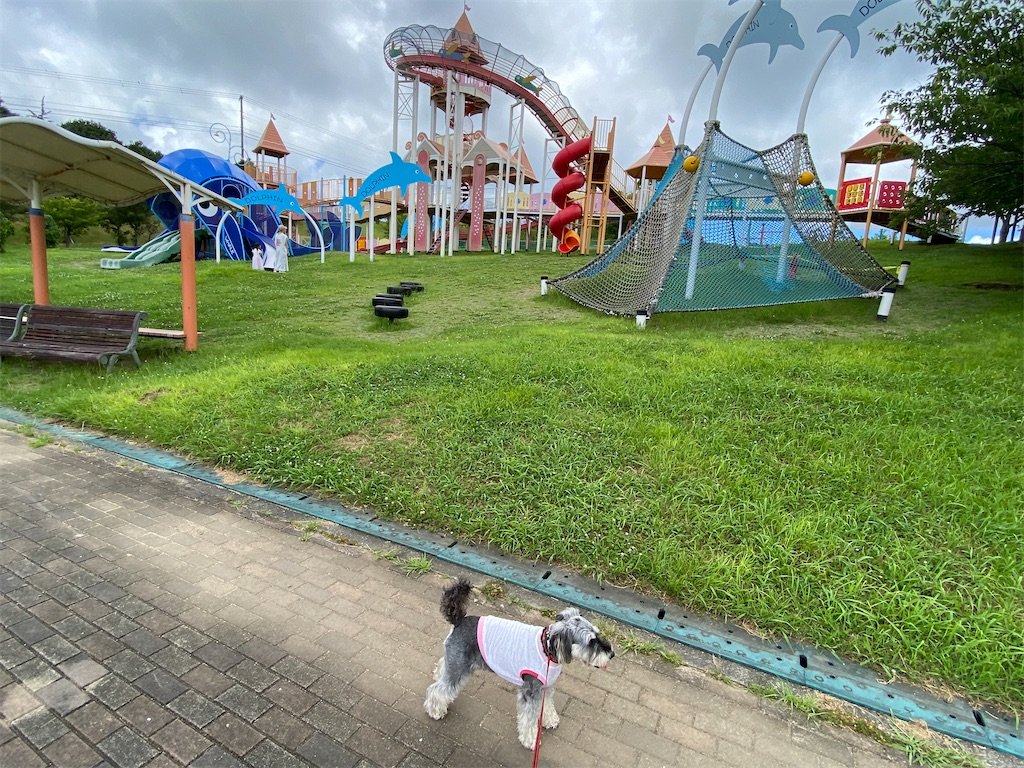 f:id:reiapapa:20230717082320j:image