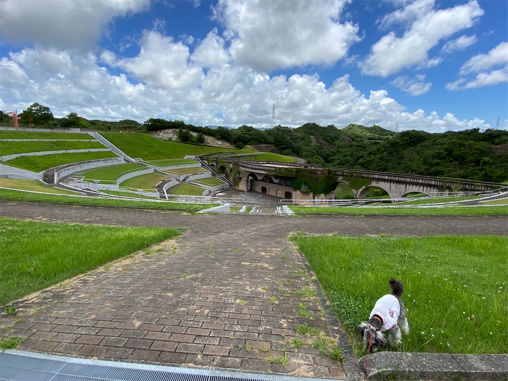 f:id:reiapapa:20230717082406j:image