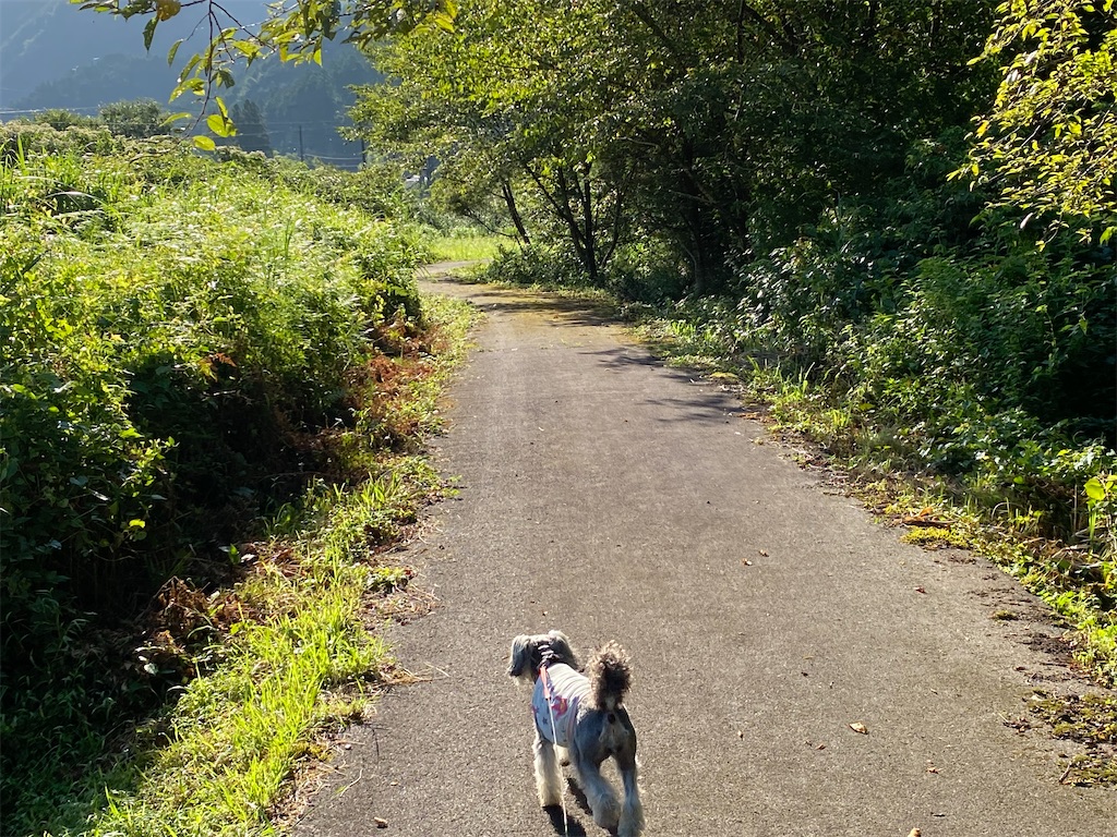 f:id:reiapapa:20230812181848j:image