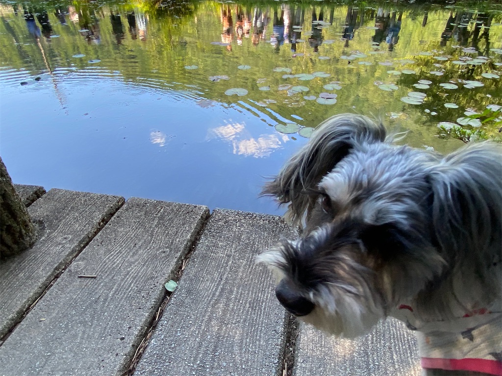 f:id:reiapapa:20230812194415j:image