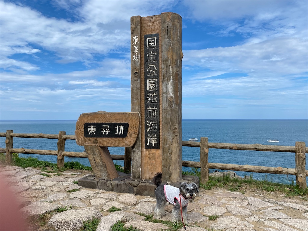 f:id:reiapapa:20230826211458j:image f:id:reiapapa:20230826211458j:image