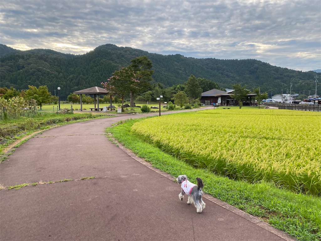f:id:reiapapa:20230827090455j:image f:id:reiapapa:20230827090455j:image