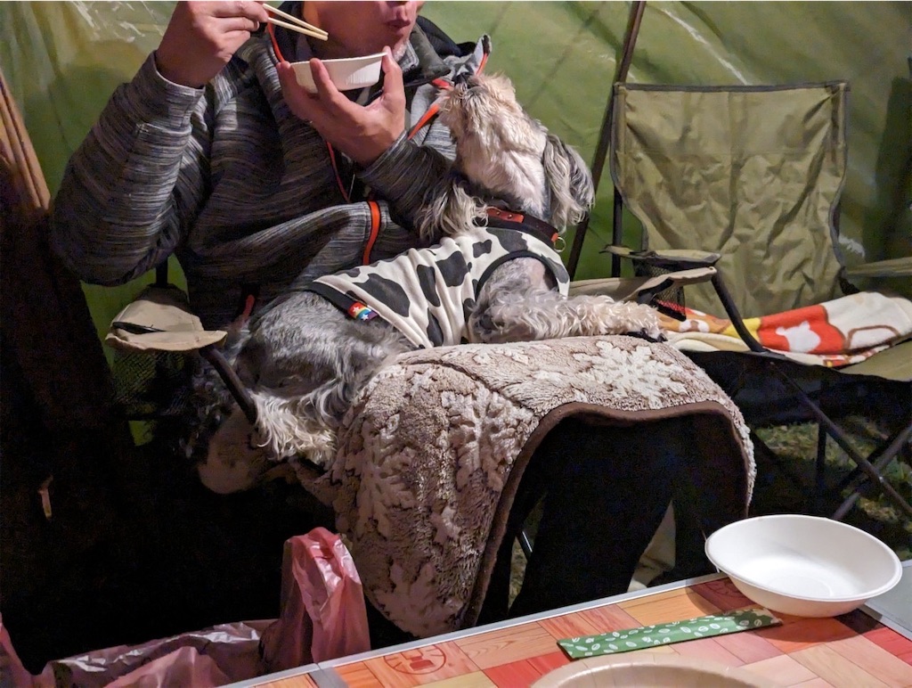 f:id:reiapapa:20231010093831j:image