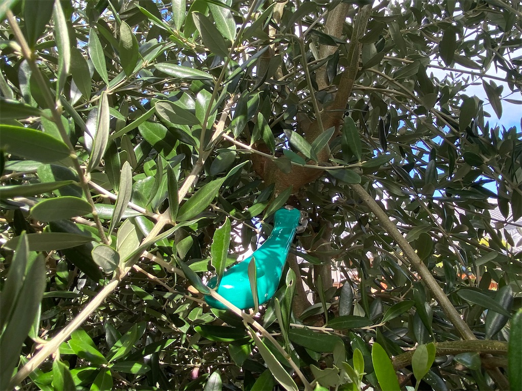 f:id:reiapapa:20231021192347j:image