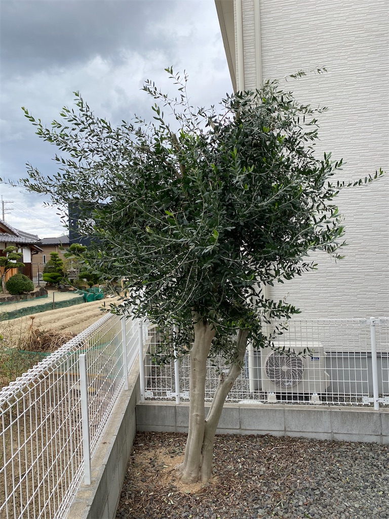 f:id:reiapapa:20231021200213j:image