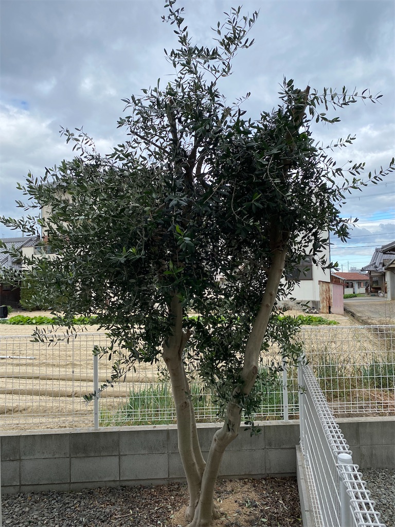 f:id:reiapapa:20231021200216j:image