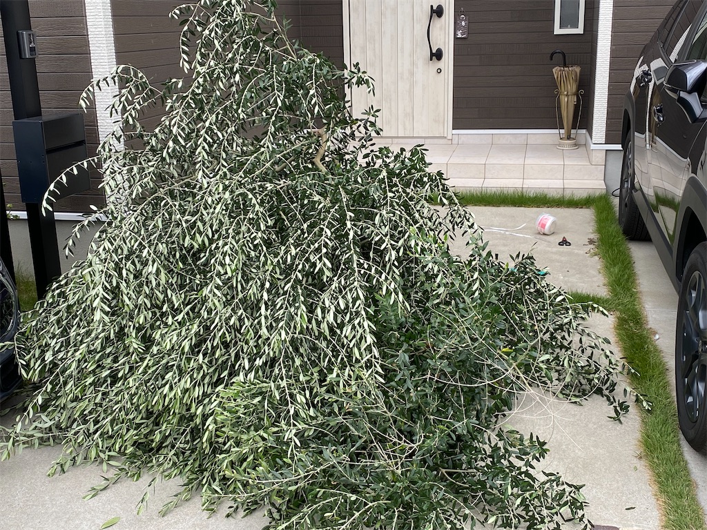 f:id:reiapapa:20231021200219j:image