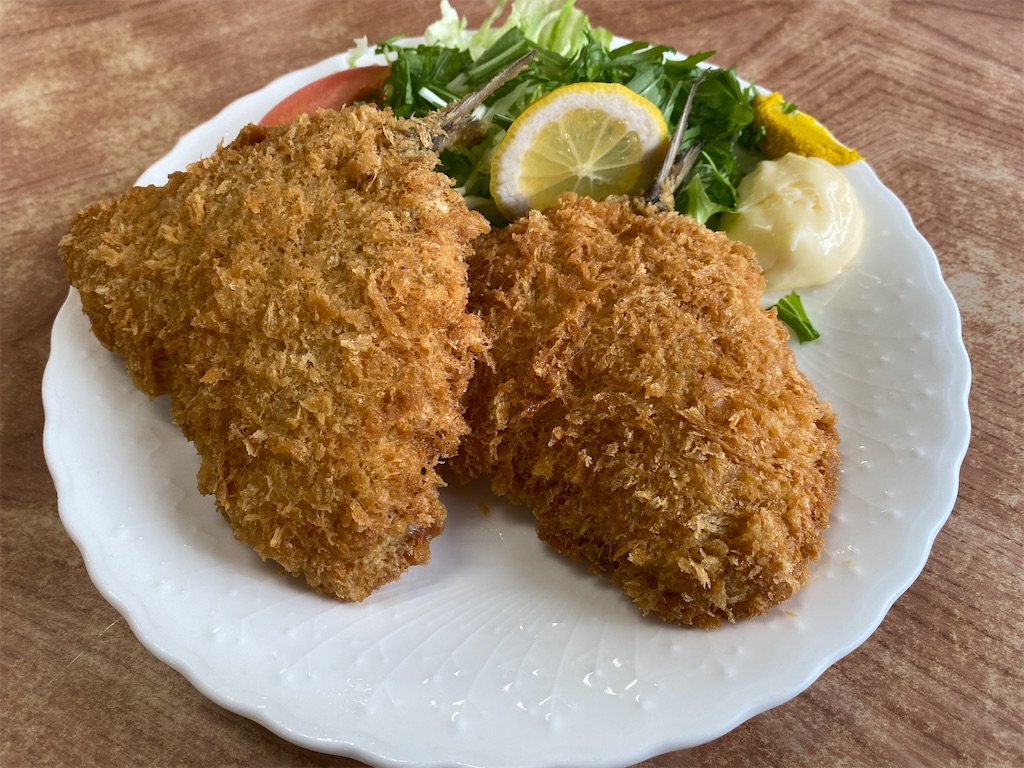 f:id:reiapapa:20231111184749j:image