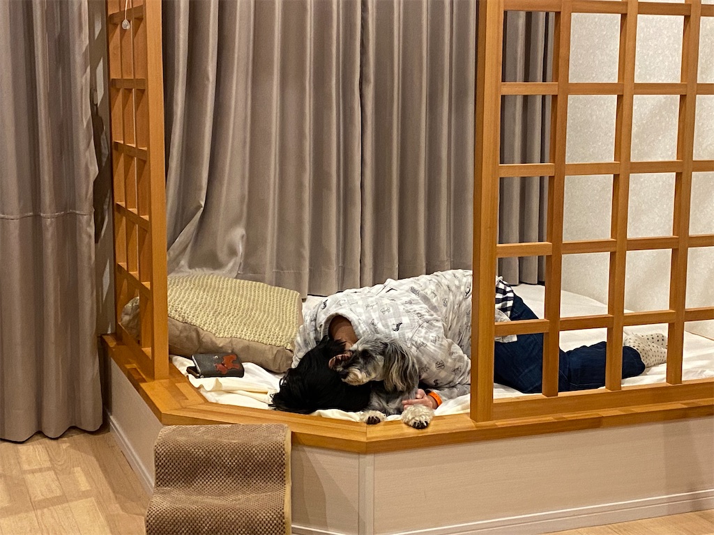 f:id:reiapapa:20231111190005j:image