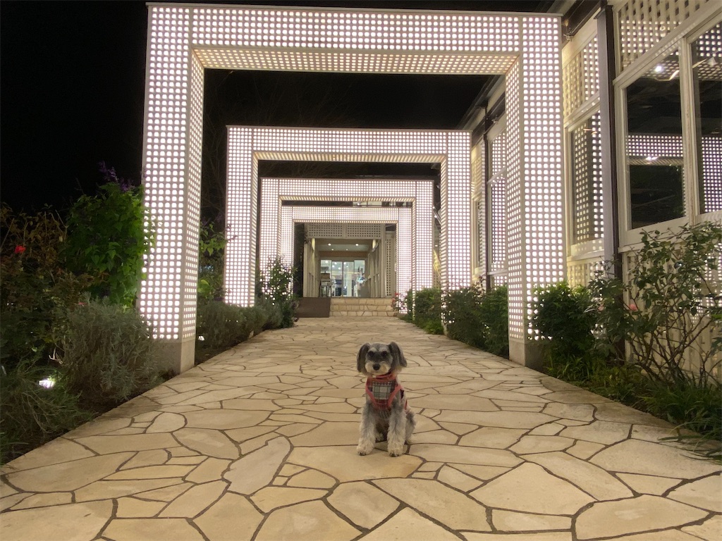 f:id:reiapapa:20231111191141j:image