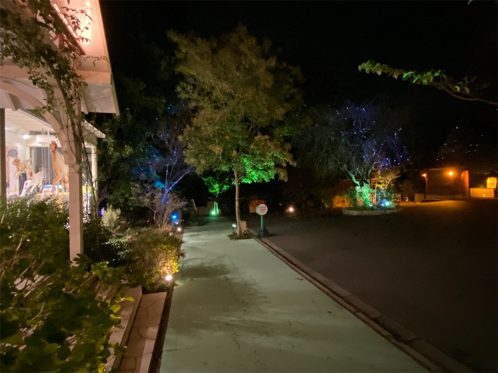 f:id:reiapapa:20231111191144j:image