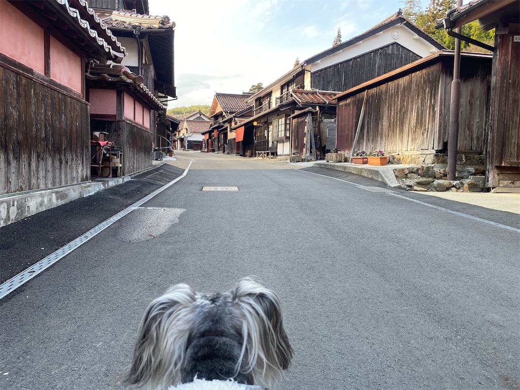 f:id:reiapapa:20231225200929j:image