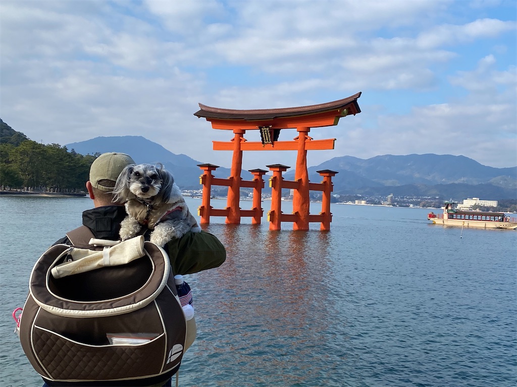 f:id:reiapapa:20231229201725j:image