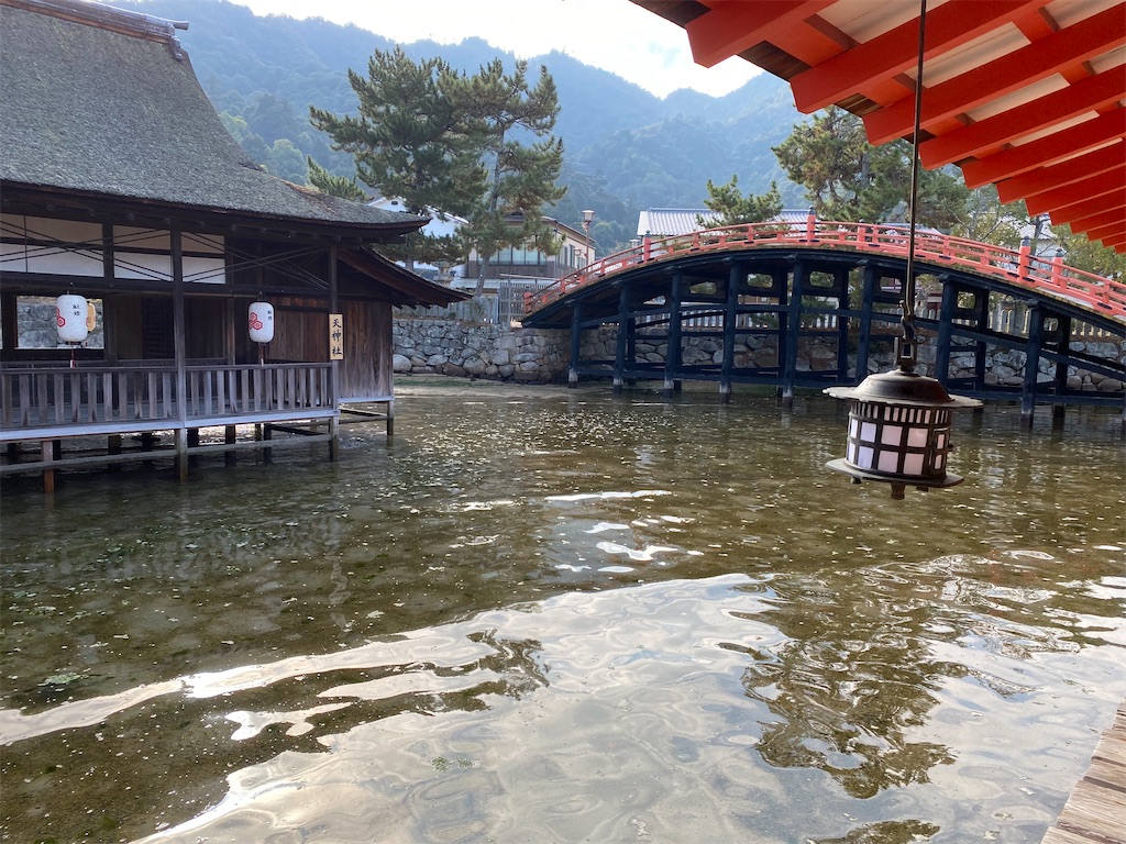 f:id:reiapapa:20231230215525j:image