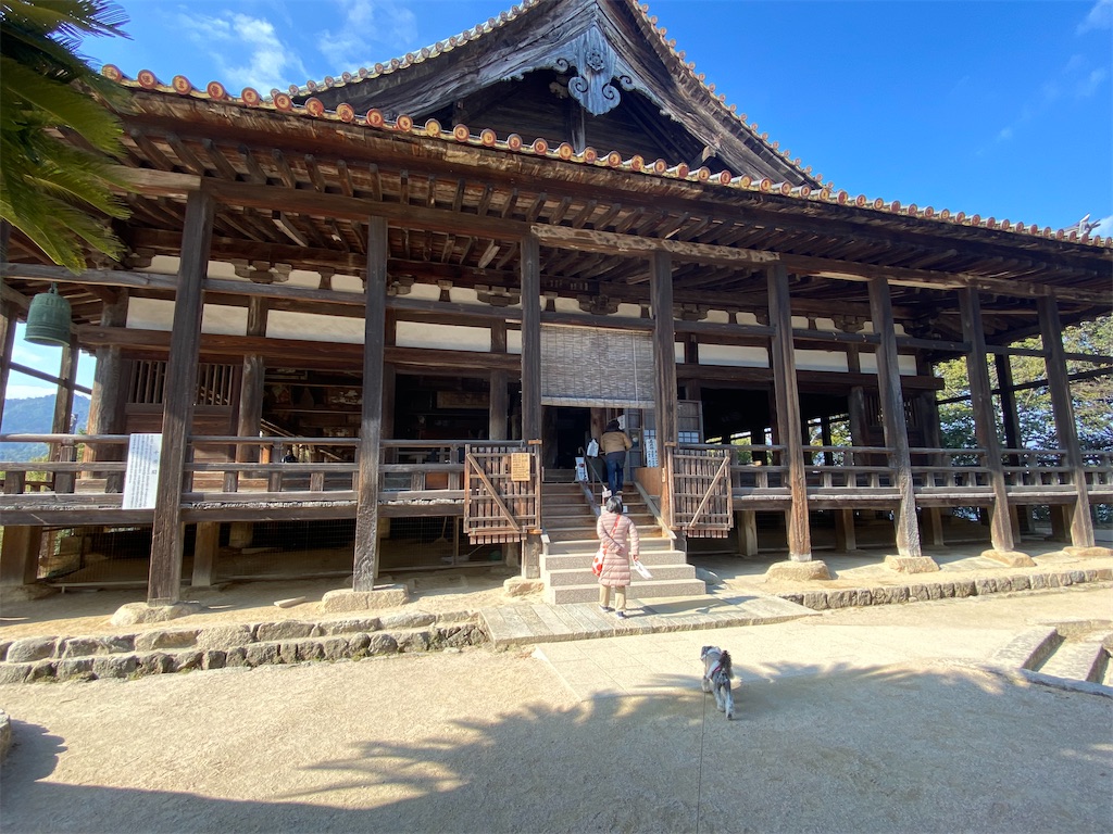 f:id:reiapapa:20231230215532j:image