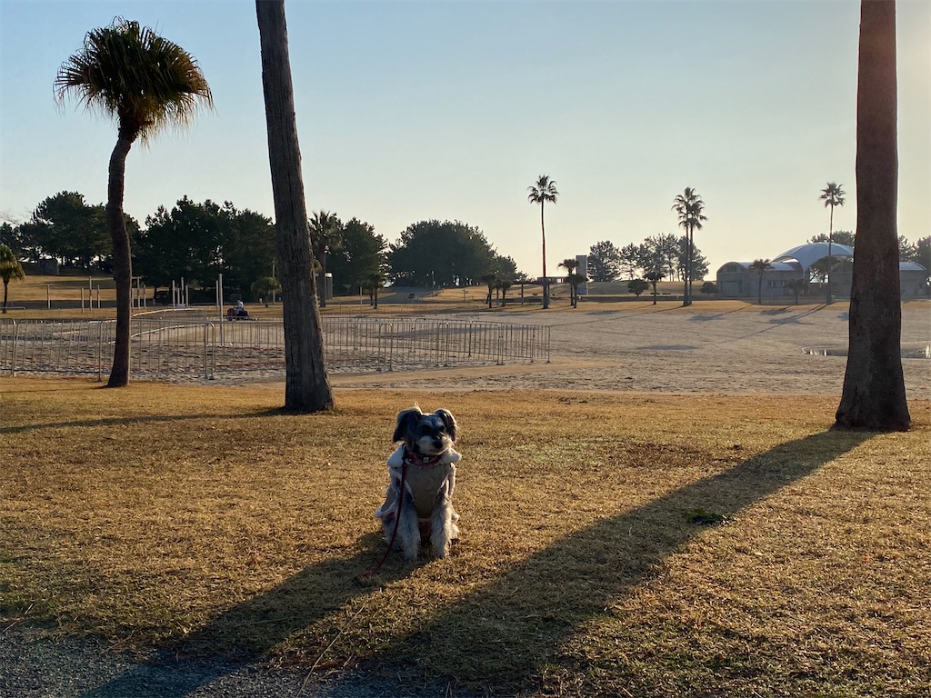 f:id:reiapapa:20240104210942j:image