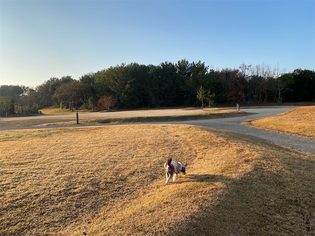 f:id:reiapapa:20240104210950j:image