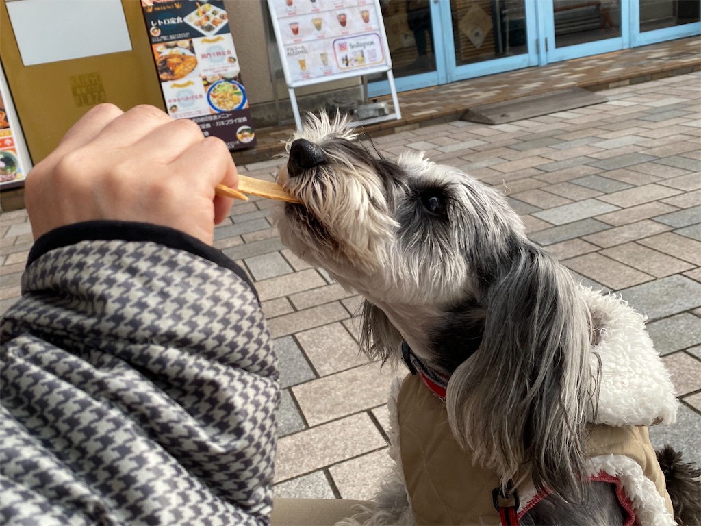 f:id:reiapapa:20240106203002j:image