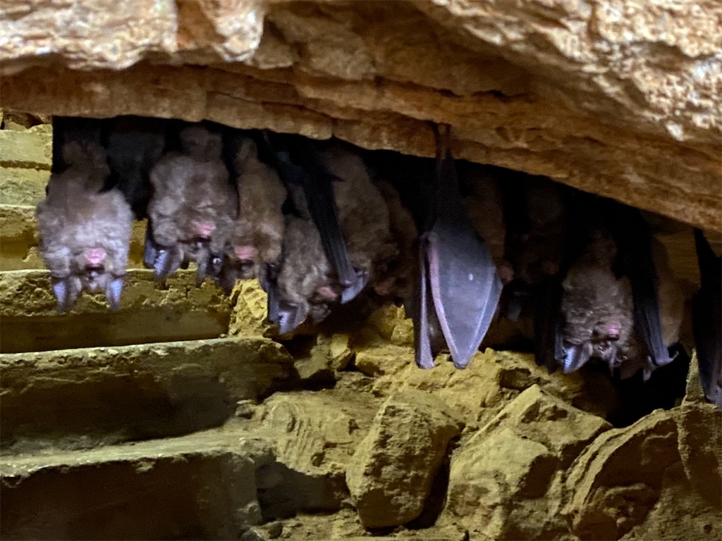 f:id:reiapapa:20240106203929j:image