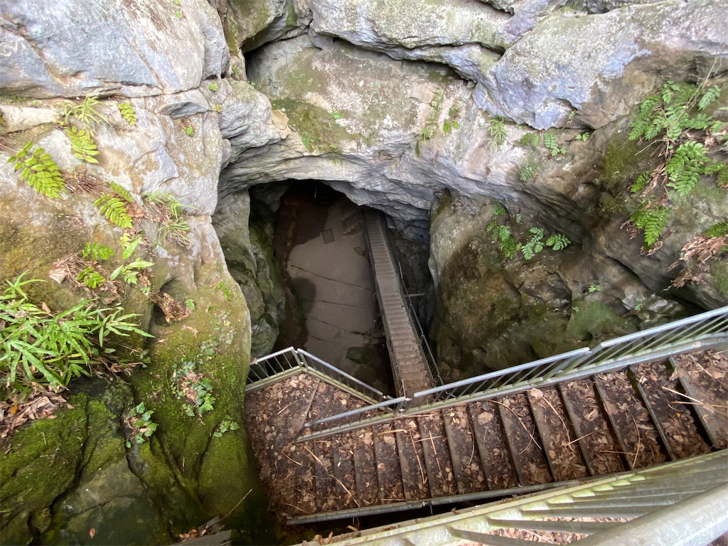 f:id:reiapapa:20240106203936j:image